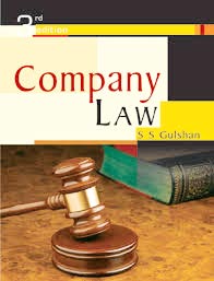 Company Law Consultancy