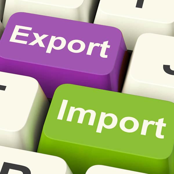 Import Export Code Services