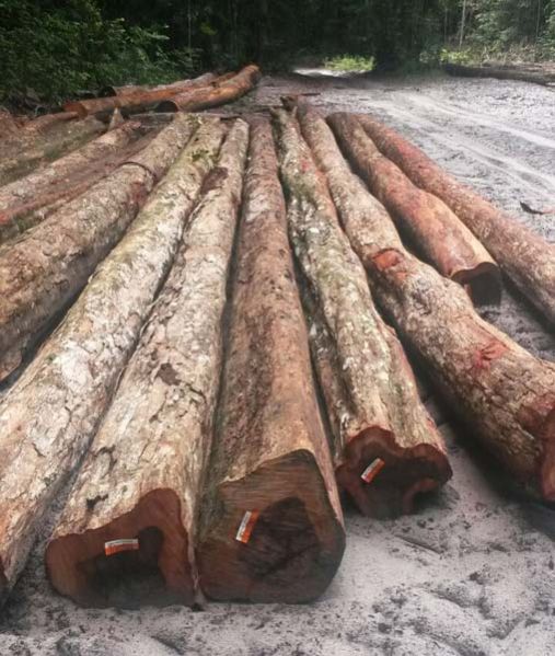 Wamara Wood Logs