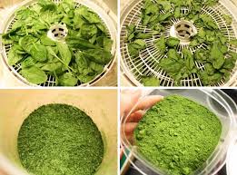 dehydrated spinach powder