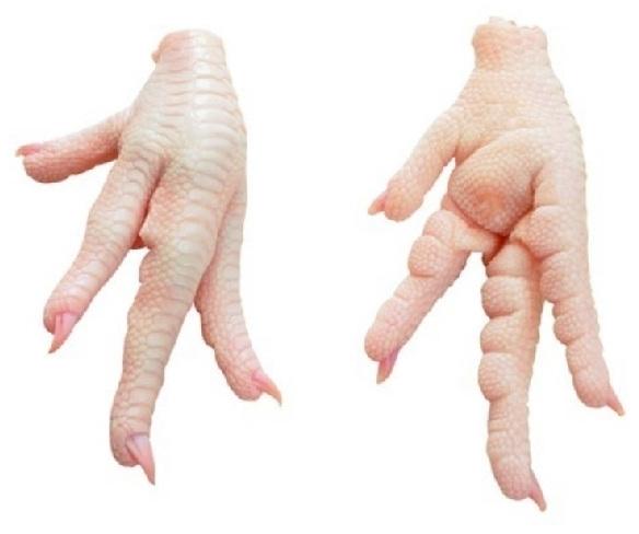 Halal Frozen Chicken Paws for Uae