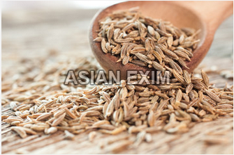 machine packaging in supplier bangladesh & Machine Seed ASIAN Buy from Cumin Cutting Bold Quality