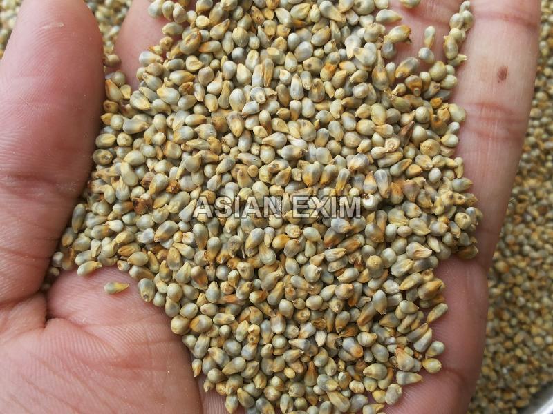 Green Millets