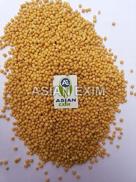 Organic yellow mustard seeds, Packaging Type : Jute Bag, Plastic Bag