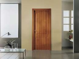 flush door