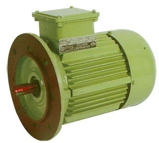 Cooling Tower Motor