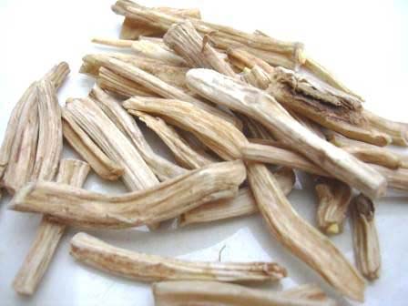 NEERAJ Common Shatavari Root, for Medicinal, Packaging Type : Gunny Bags, Bags