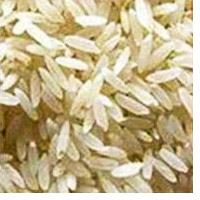 indian rice