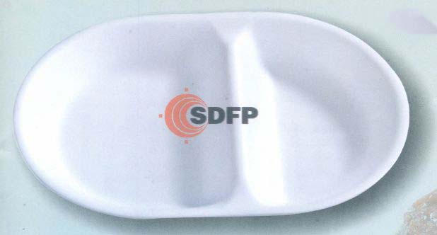 2 CP Disposable Tray