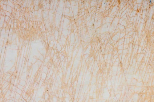 Imported Spider White Marble Stone