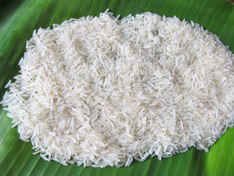 Common Non Basmati Rice, for Gluten Free, High In Protein, Variety : Long Grain, Medium Grain, Short Grain