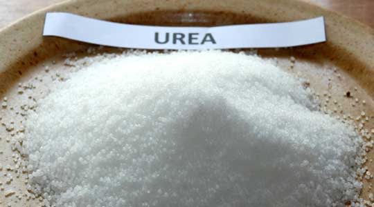 Urea Fertilizers, Purity : 99%