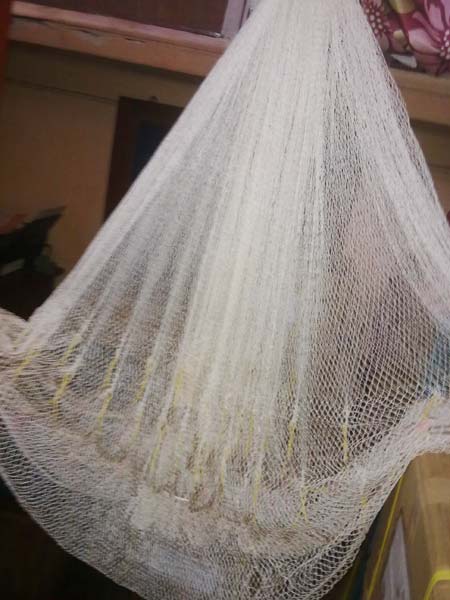 Mighty cast net, Plastic Type : Nylon at Rs 1,500 / Piece in Kolkata