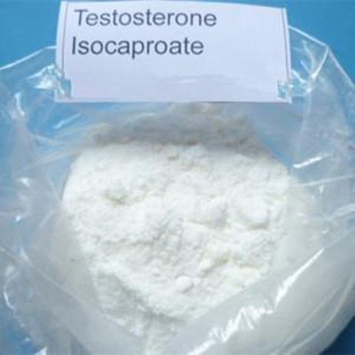 Testosterone Isocaproate
