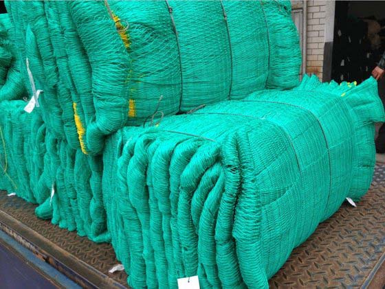 Hdpe Fishing Net, Weave Style : Plain Weave, Color : Green at Best Price in  Rajkot