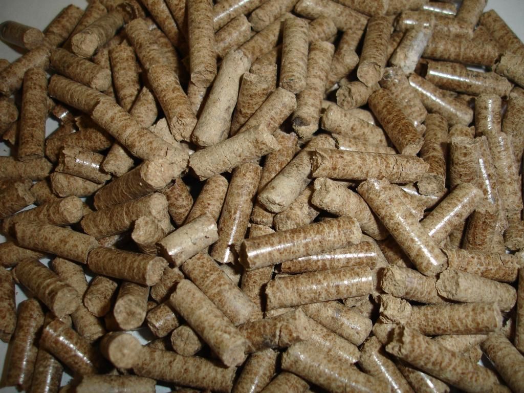 Biomass Fuel Pellets at Best Price in Morvi ID 1404711 Maruti
