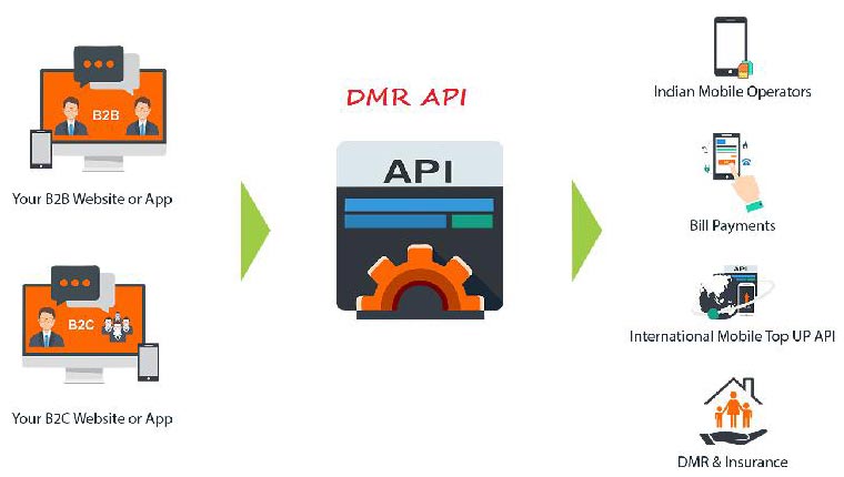 DMR API Services