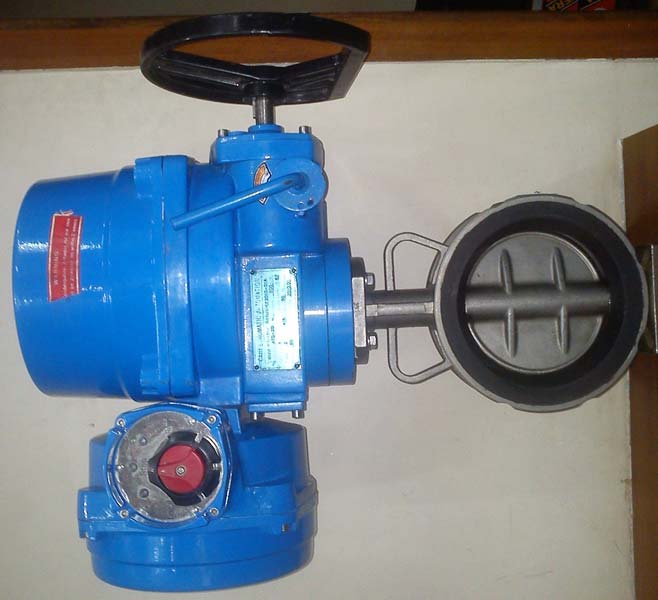 Motorized Butterfly Valves