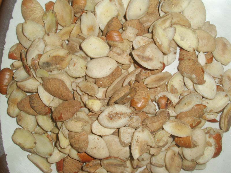 Brachystegia Eurycoma seed, Packaging Type : Poly Bag