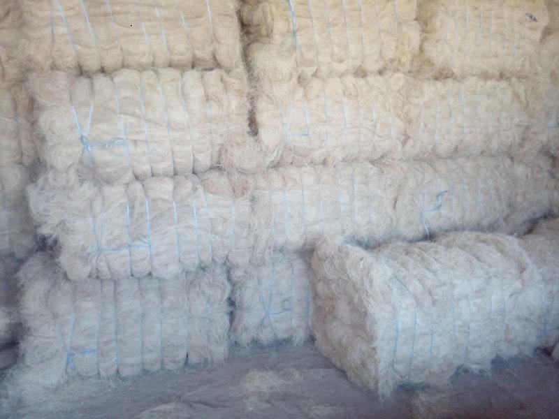 coir fibre