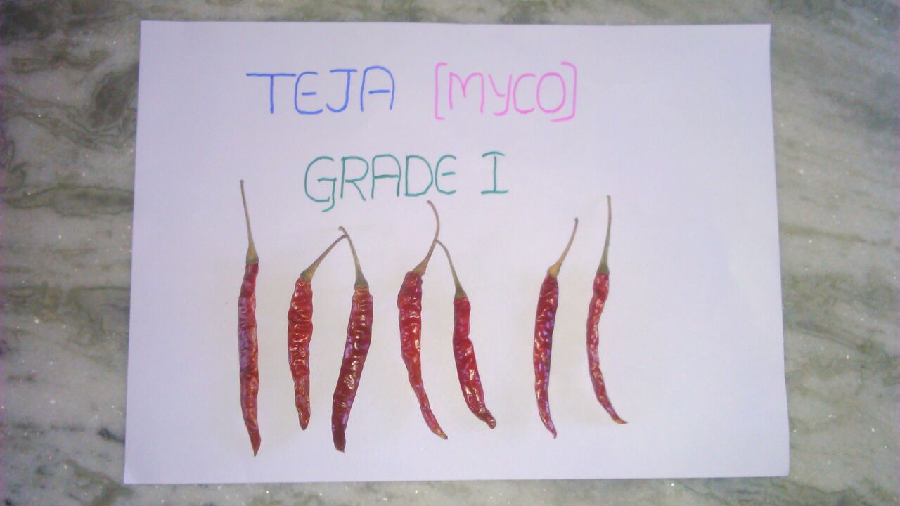 Teja Sannam Grade 1 Dried Red Chilli