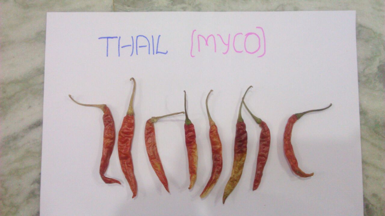 Teja Sannam Thail Dried Red Chilli
