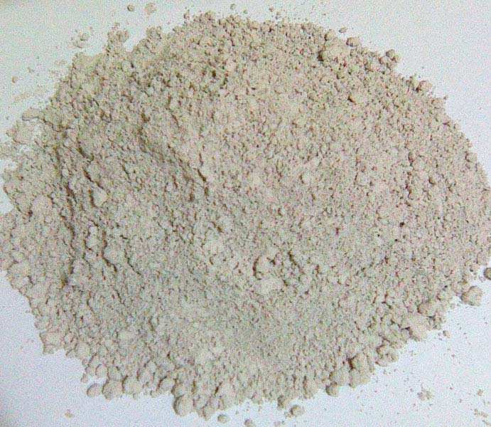 Diatomaceous Earth Powder