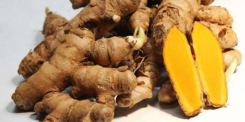 Lakadong Turmeric Buy Lakadong Turmeric for best price at