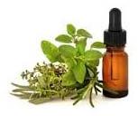 Marjoram Oil