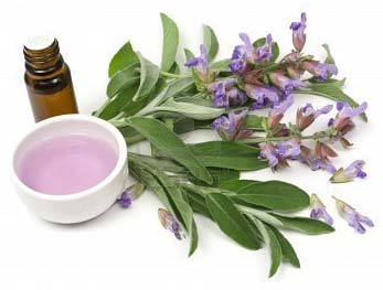 Sage Oil