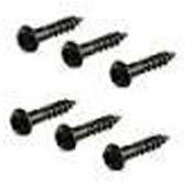 ROSTER™ Stainless Steel Small Screws