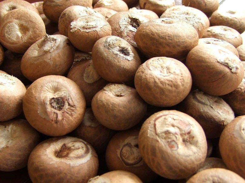 Naden Areca Nuts, for Consumption, Certificate : ISO