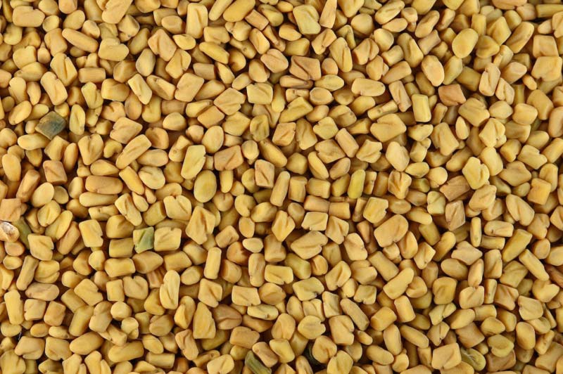 Naden fenugreek seed