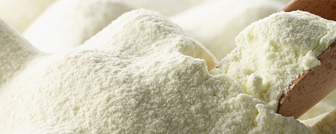 NGAM EXPORTS full cream milk powder, Shelf Life : 24 months
