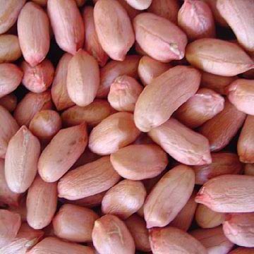 peanut kernels