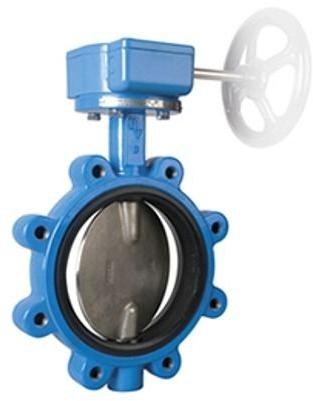 Lug Type Butterfly Valve