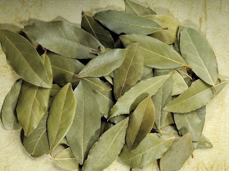 Bay Leaves