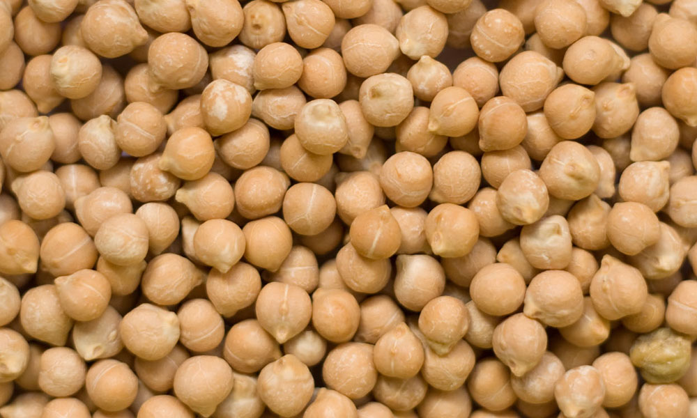 Chickpeas Seed