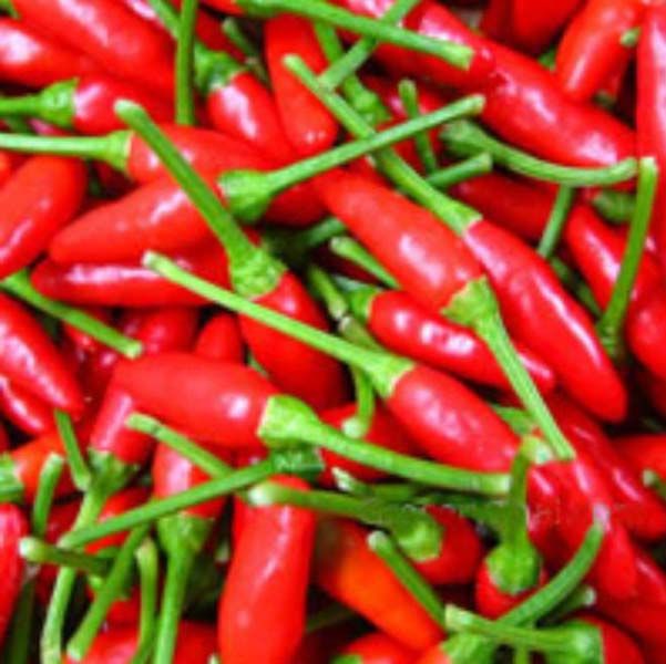 Fresh Red Chilli Pepper