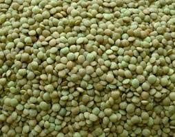 Green Lentils