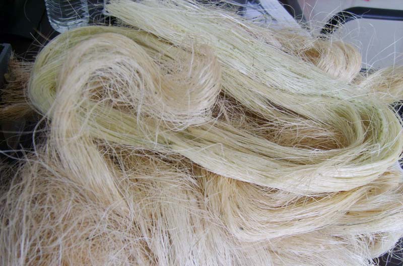 Sisal Fiber