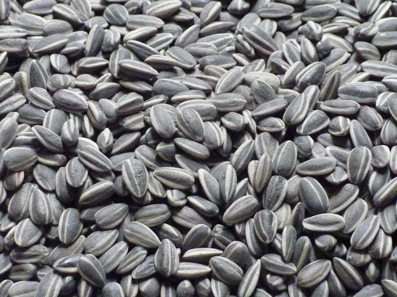 sunflower seeds