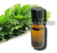 Celery Seed Oil, for Reduces Joint Problem, Nervousness, Headache, Packaging Type : Glass Bottels