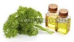 Parsley Oil, Purity : 100% Natural Pure