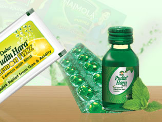 Dabur Pudin Hara