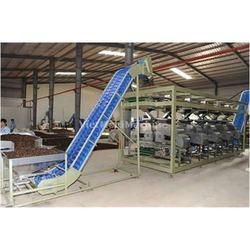cashew nut processing plant