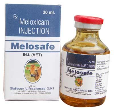 Meloxicam Injection