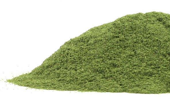 Azadirachta Indica Powder