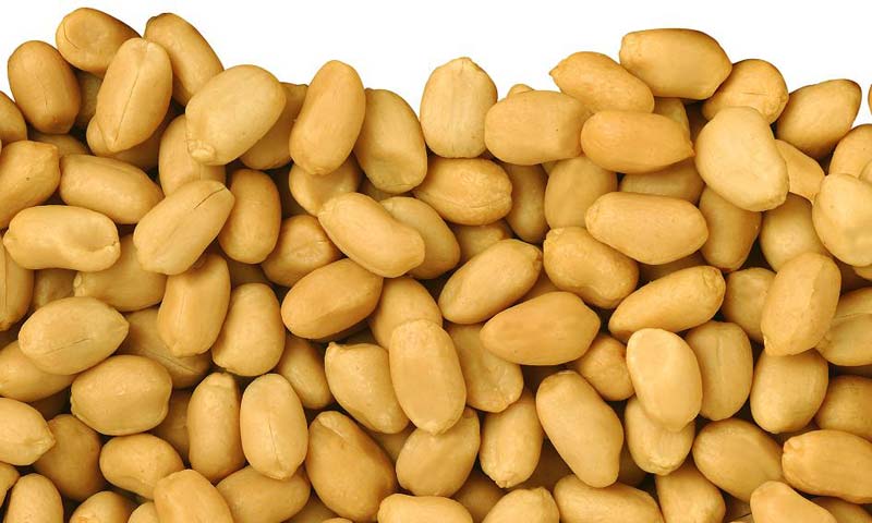 blanched peanuts