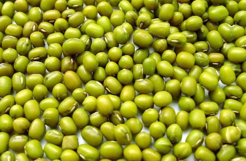 green mung beans